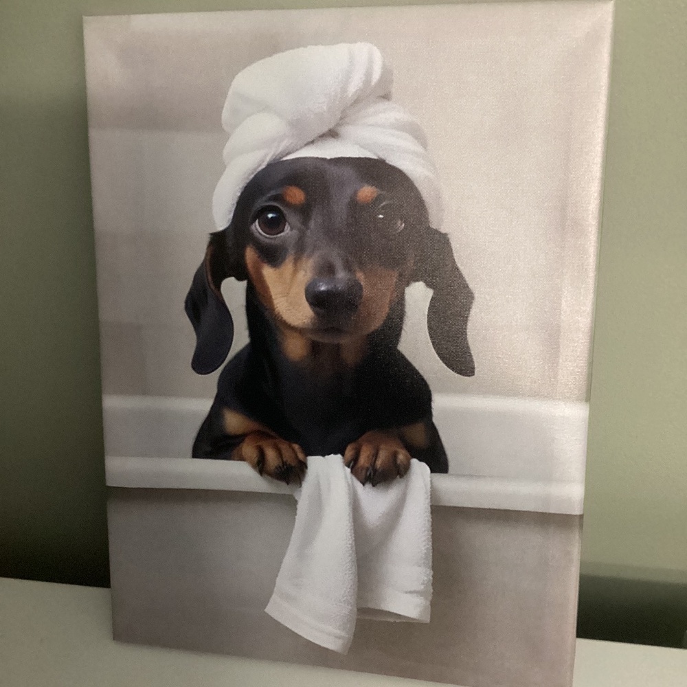 Daschund canvas print